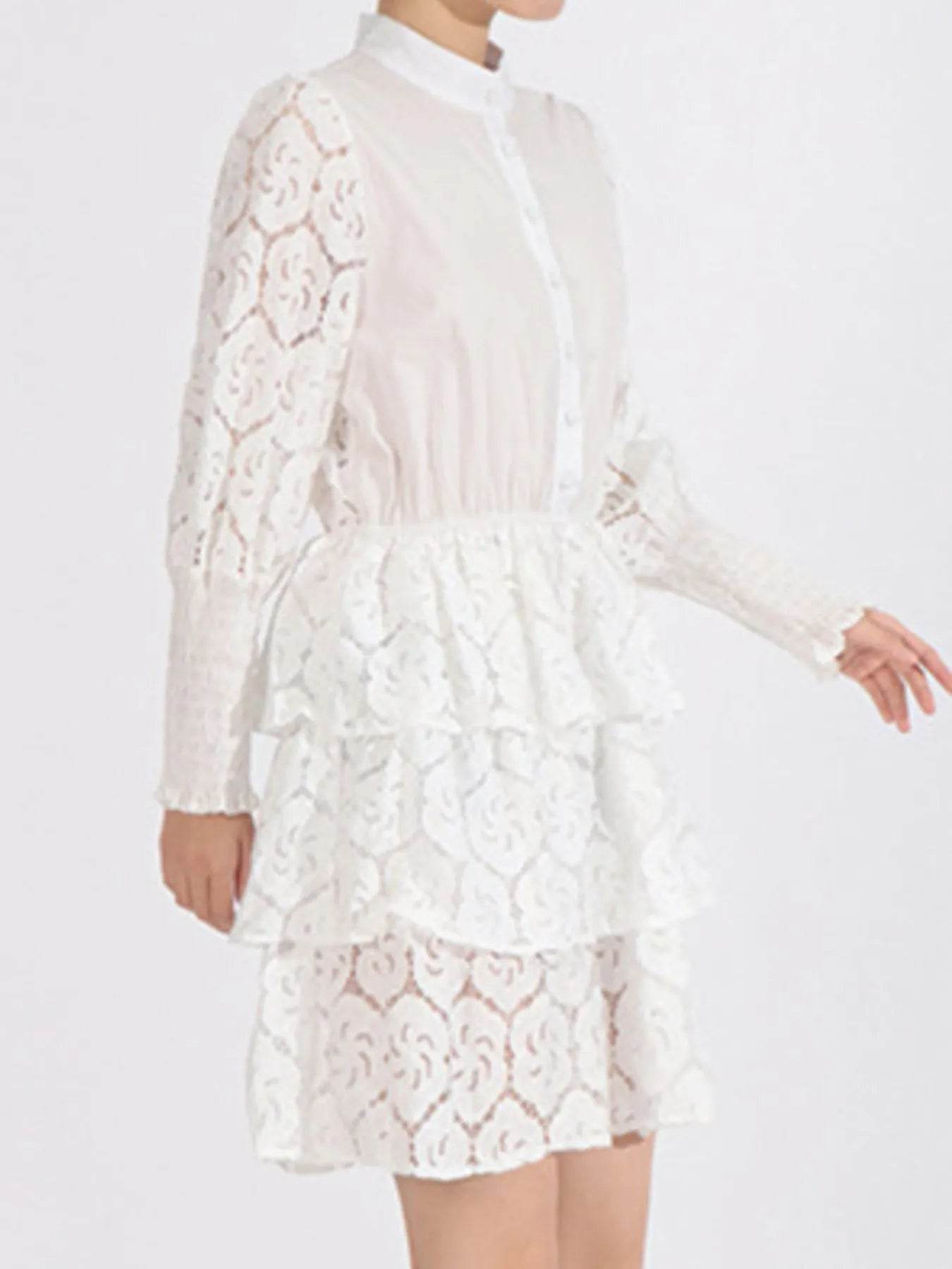 Full Size Lace Layered Long Sleeve Dress Plus Size - Tredona LLC