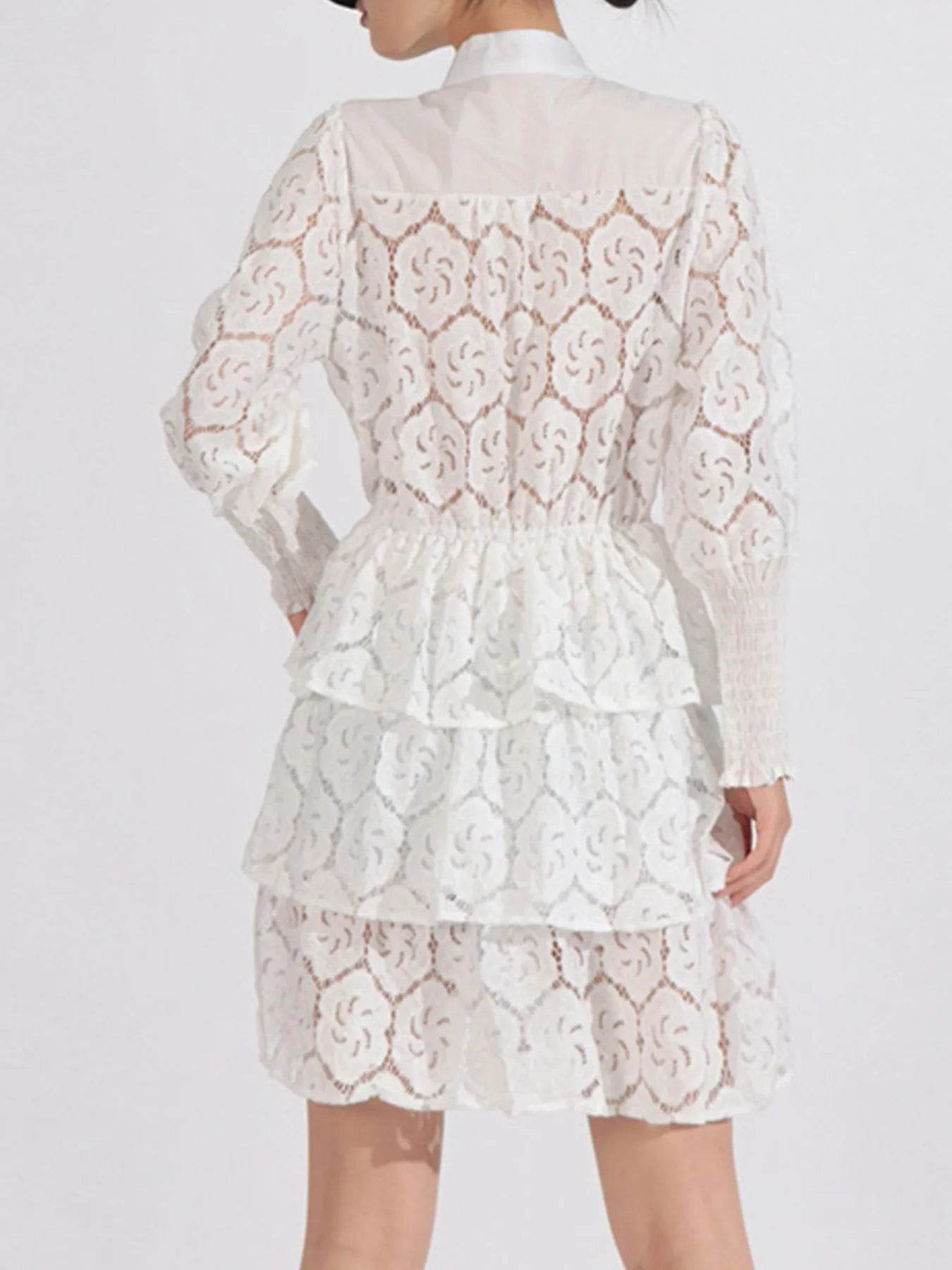 Full Size Lace Layered Long Sleeve Dress Plus Size - Tredona LLC