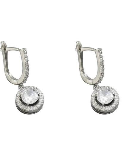 Stainless Steel Zircon Drop Earrings - Tredona LLC